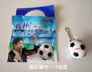 2010.6.20