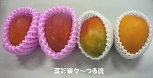 2010.6.21