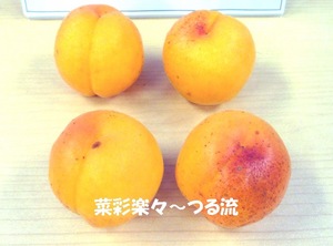 2010.6.29