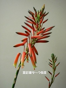2010.6.29