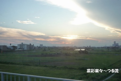2010.7.28