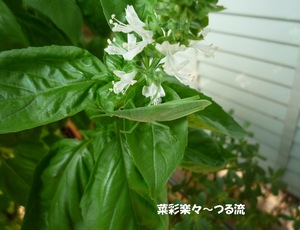 2010.8.21