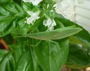 2010.8.21