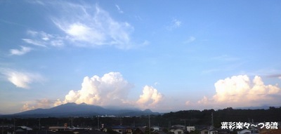 2010.8.30