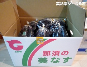 2010.9.23