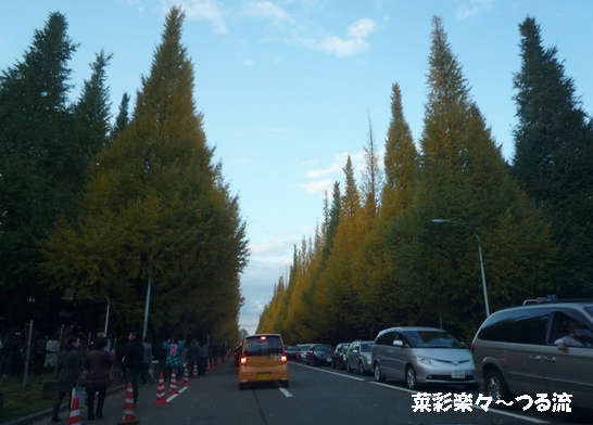 2010.11.23 06ブログ2.jpg