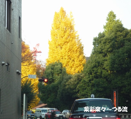 2010.11.25 靖国ブログ.jpg