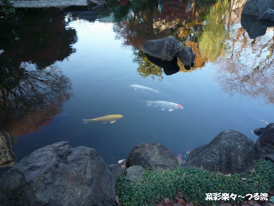 2010.12.5 靖国19ブログ.jpg