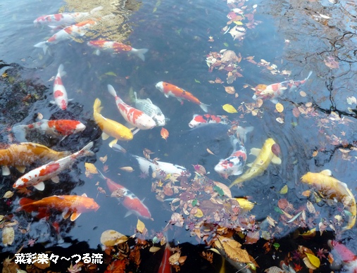 2010.12.5 靖国32ブログ.jpg