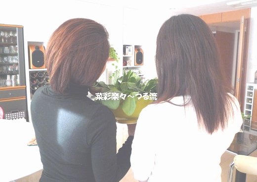 2011.1.12 ベジシャス01ブログ2.jpg