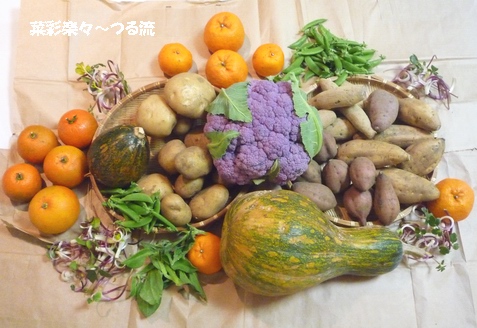 2011.2.4 種子島食材02ブログ P1160121.jpg