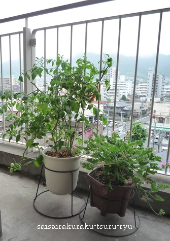 北九州P1260453-2.jpg