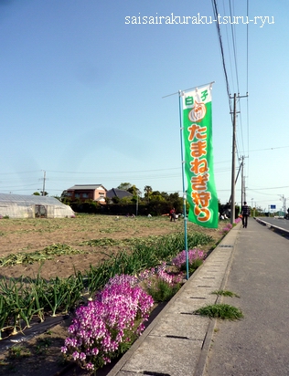 白子3 P1310230.jpg