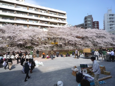 目黒ブログ02 P1170233.jpg