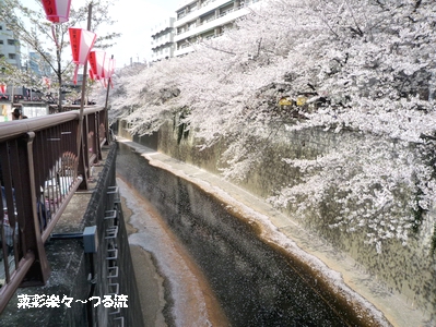 目黒ブログ03 P1170235.jpg