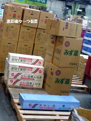 築地02 P1170671.jpg