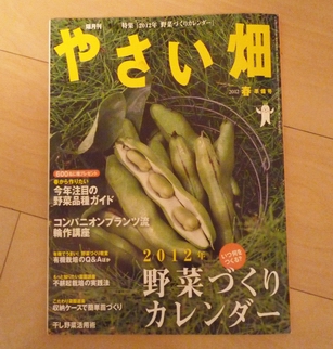 野菜畑01 P1230421.jpg