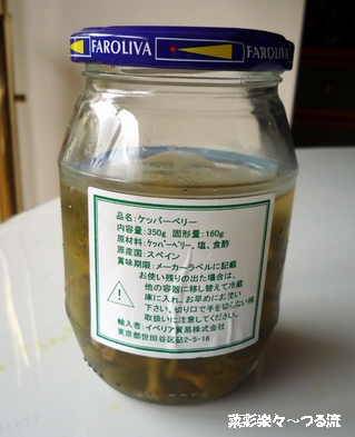 ケッパーベリー03 P1180386.jpg