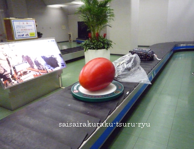マンゴー02 P1250353.jpg