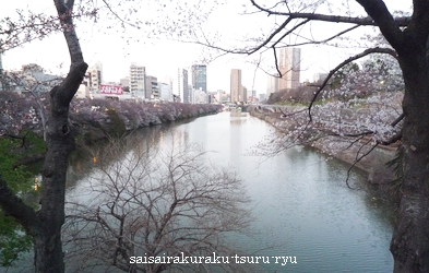 P1240635-編.jpg