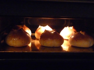 P1400114 (320x240).jpg